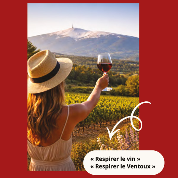 Découvrez l’œno-sophrologie : une expérience sensorielle unique au cœur de la Provence